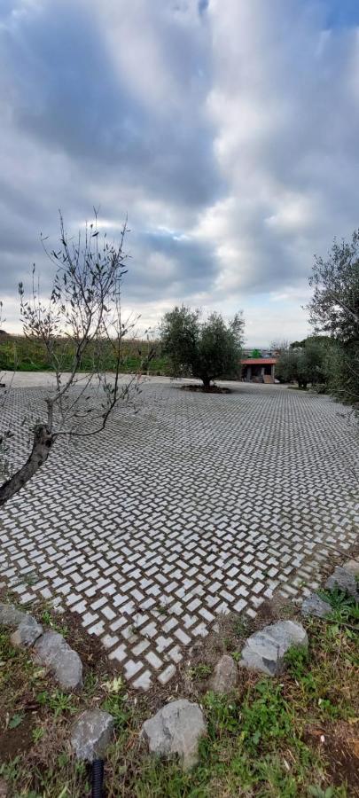 Merumalia Wine Resort Frascati Dış mekan fotoğraf