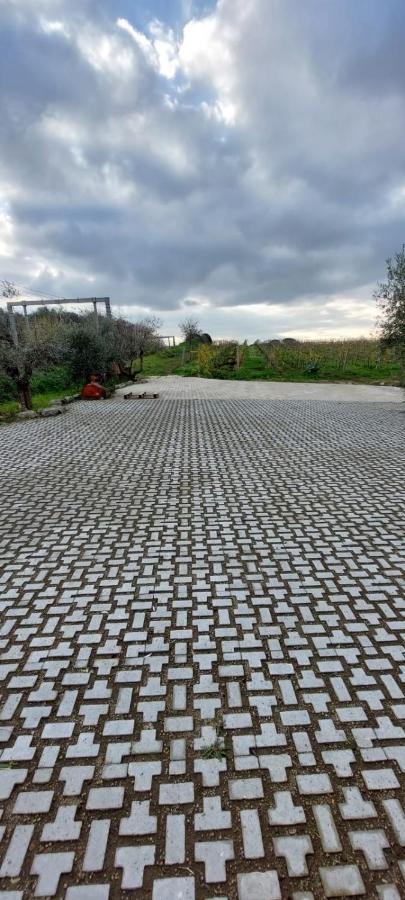 Merumalia Wine Resort Frascati Dış mekan fotoğraf