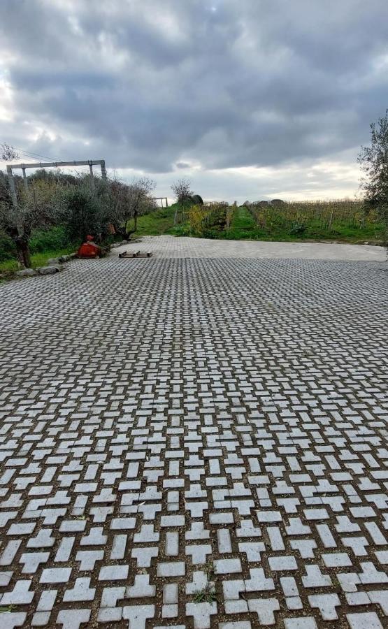 Merumalia Wine Resort Frascati Dış mekan fotoğraf