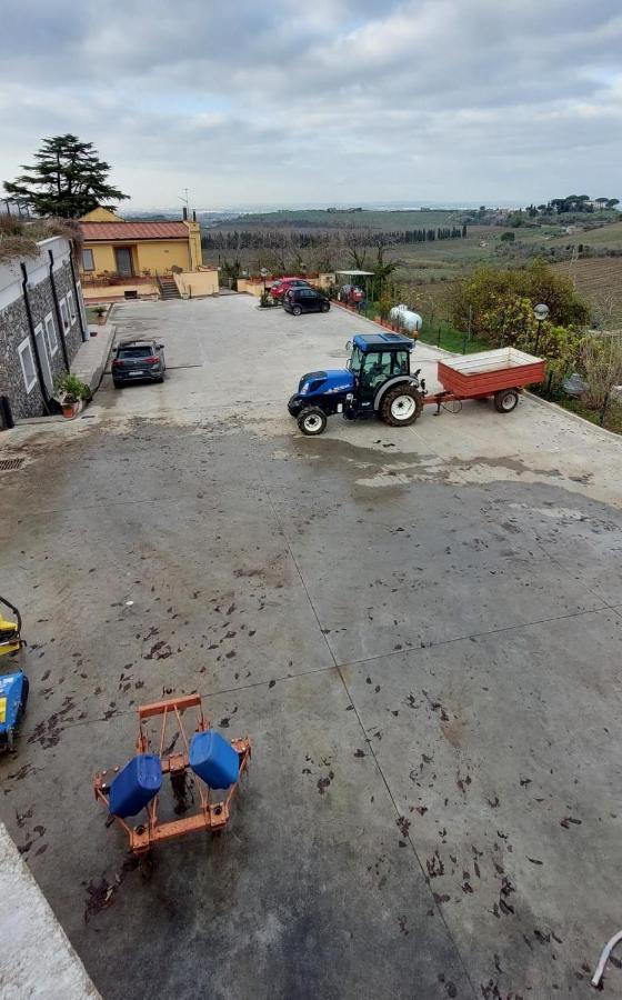 Merumalia Wine Resort Frascati Dış mekan fotoğraf