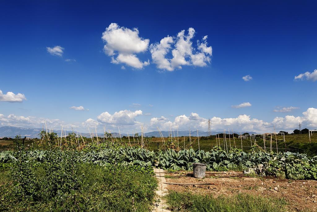 Merumalia Wine Resort Frascati Dış mekan fotoğraf