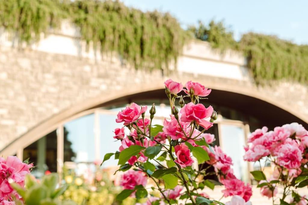 Merumalia Wine Resort Frascati Dış mekan fotoğraf