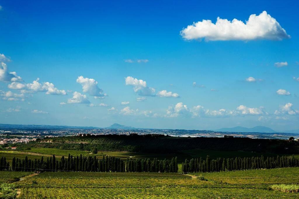 Merumalia Wine Resort Frascati Dış mekan fotoğraf