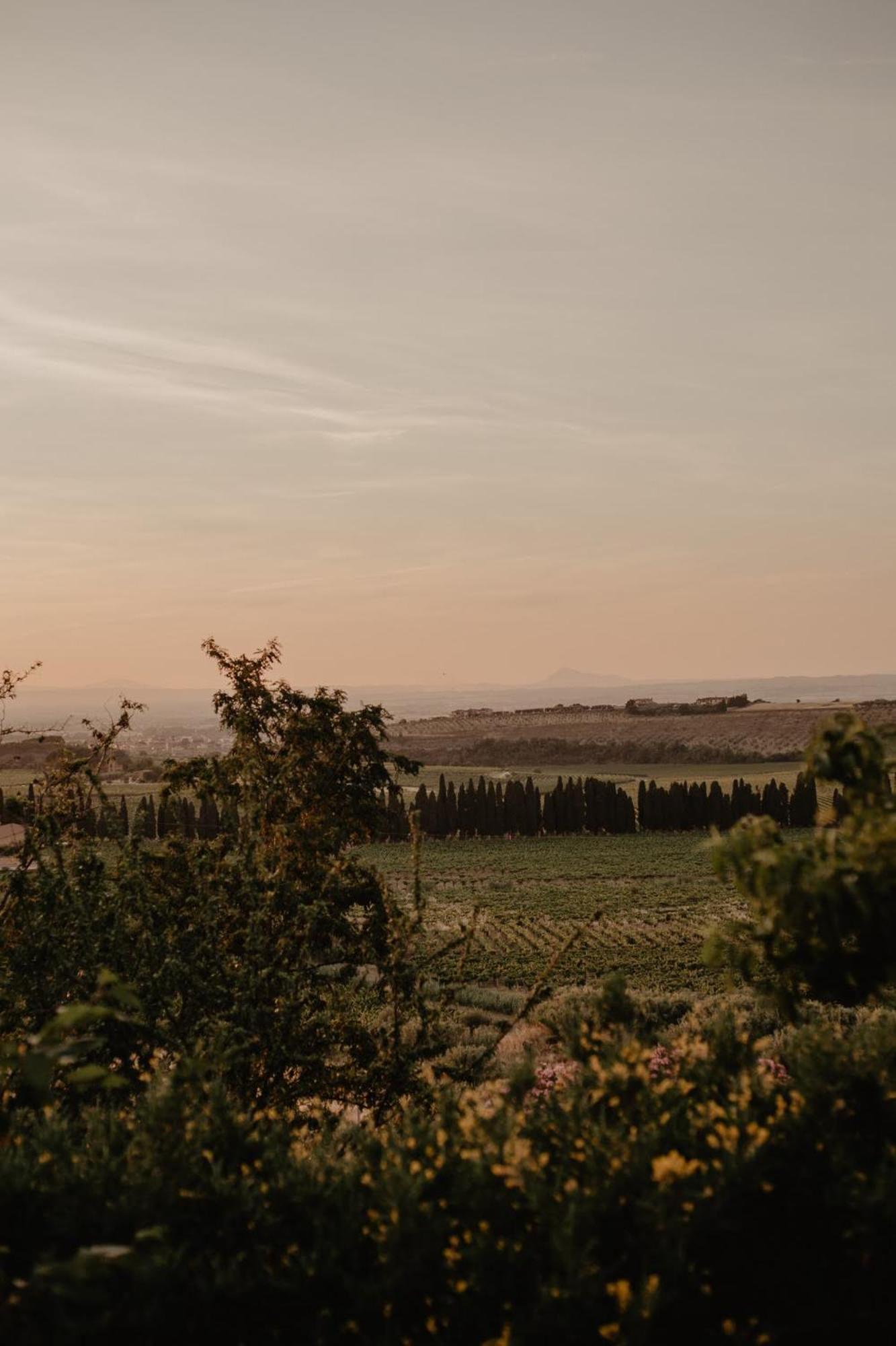 Merumalia Wine Resort Frascati Dış mekan fotoğraf