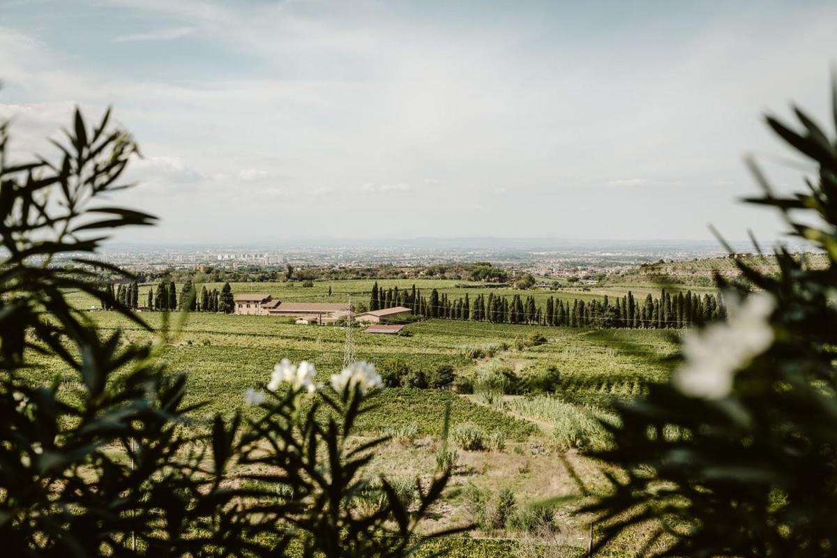 Merumalia Wine Resort Frascati Dış mekan fotoğraf
