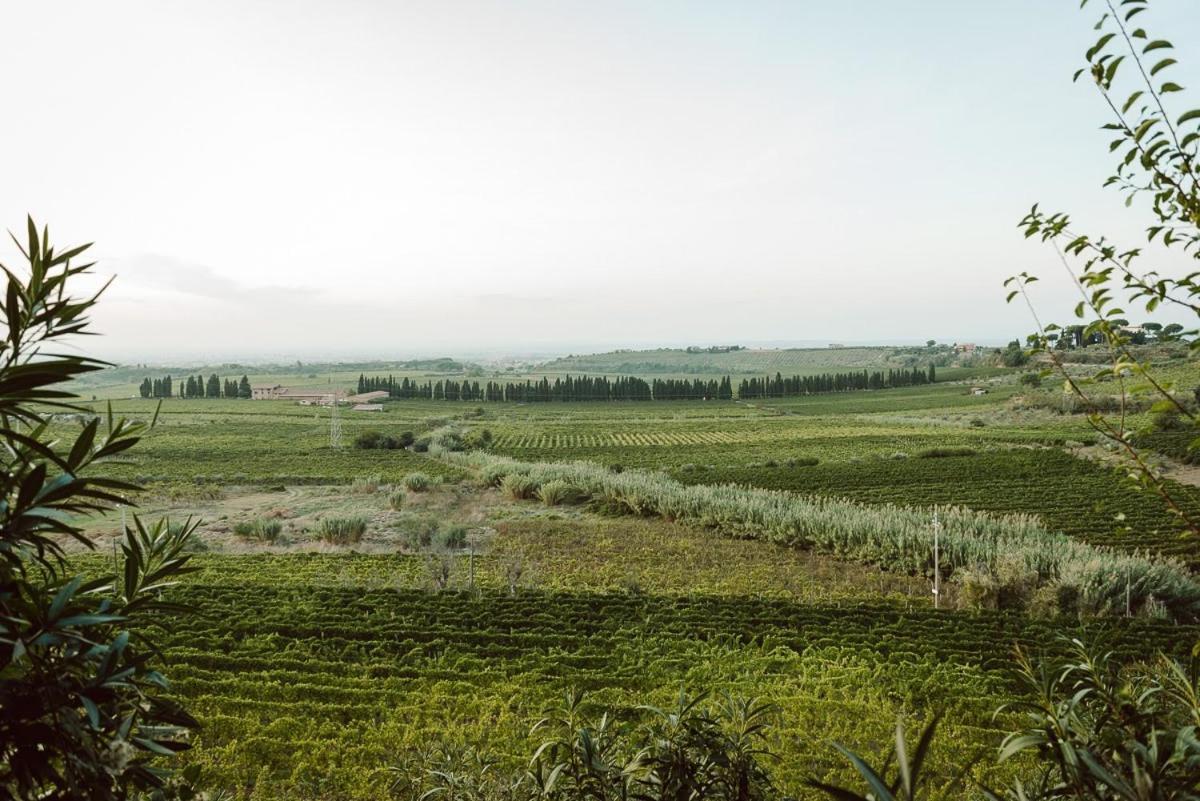 Merumalia Wine Resort Frascati Dış mekan fotoğraf