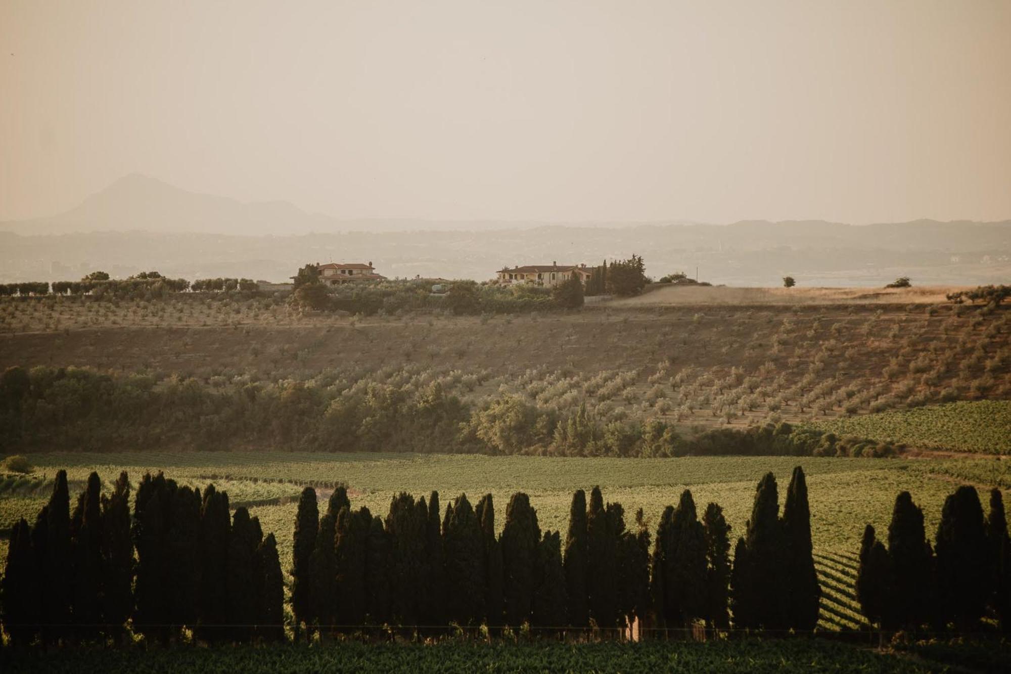 Merumalia Wine Resort Frascati Dış mekan fotoğraf