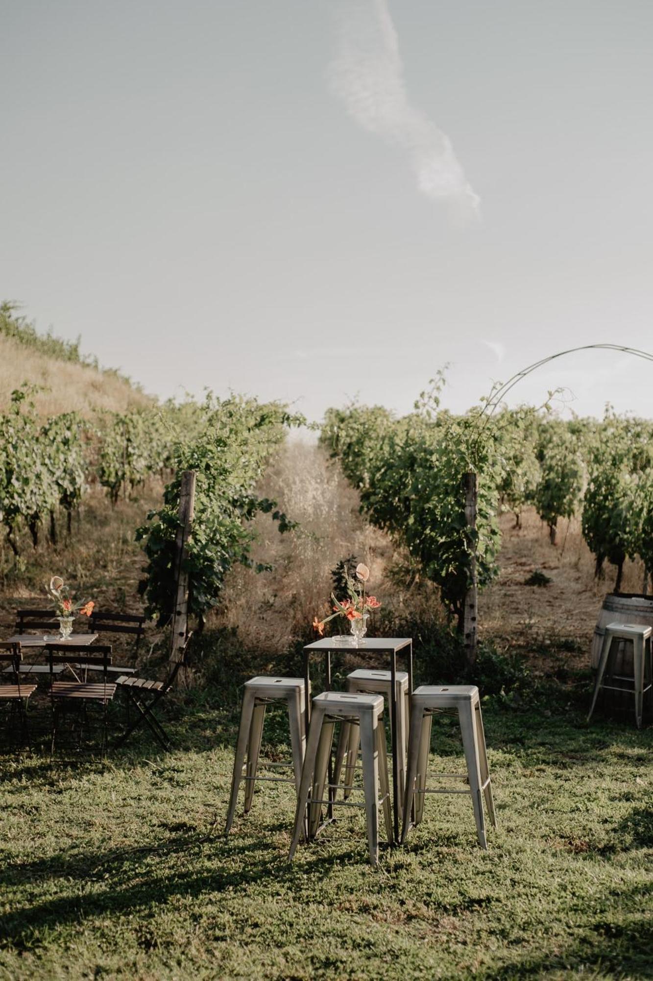 Merumalia Wine Resort Frascati Dış mekan fotoğraf