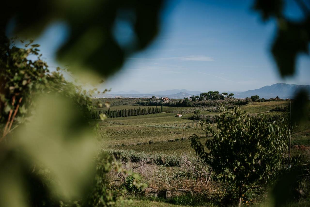 Merumalia Wine Resort Frascati Dış mekan fotoğraf